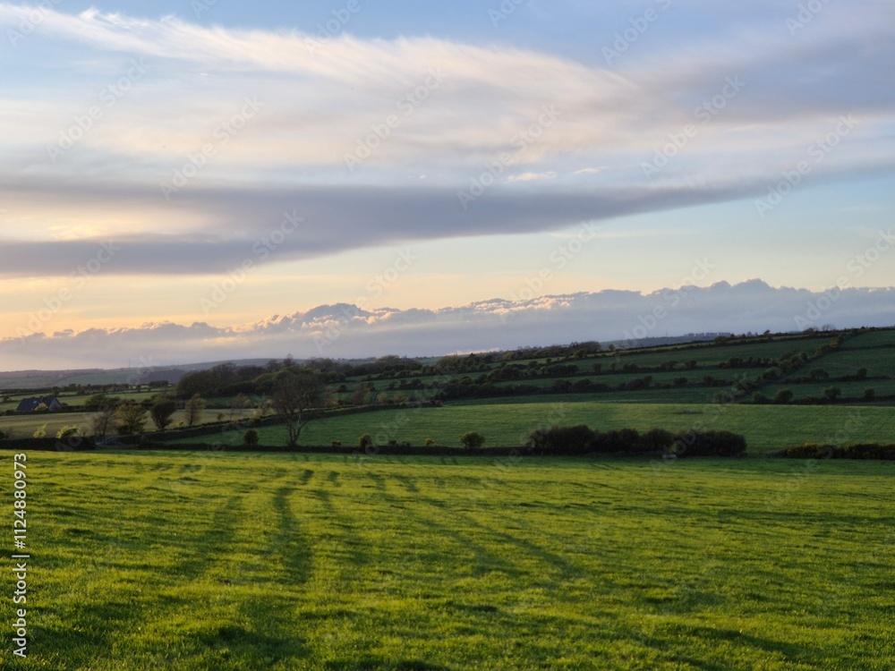 Cloudy Sky Over a Green Grassland with Trees and Sunlight Cloudy Sky Over a Green Grassland with Trees and Sunlight