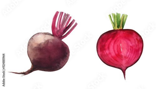 Watercolor Beetroot Radish Fresh Produce Farm to Table Healthy Eating