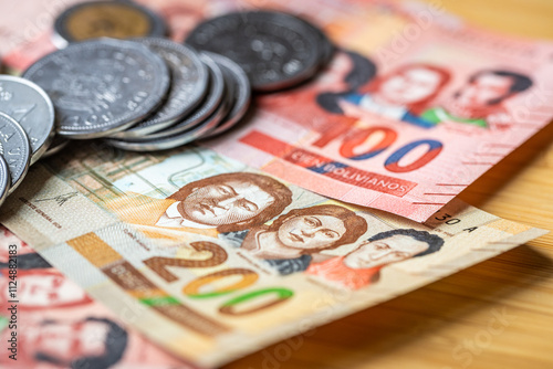 Tableau sur toile Bolivia money
