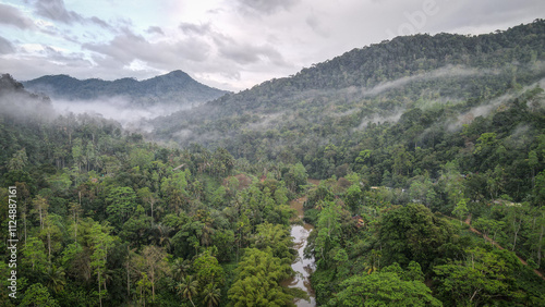 The aerial view of the Sinharaja Reserve in Sri Lanka