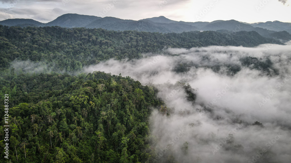 The aerial view of the Sinharaja Reserve in Sri Lanka The aerial view of the Sinharaja Reserve in Sri Lanka