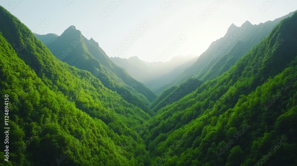 Obraz premium Breathtaking panorama of a lush green valley nestled amidst towering mountains, serene and picturesque landscape.