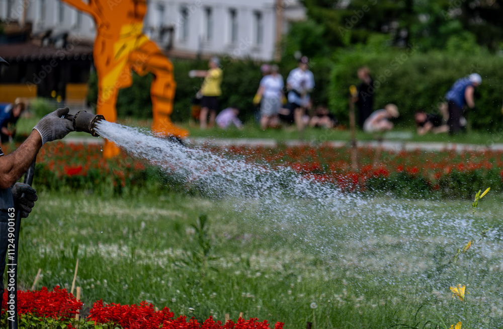 Naklejka premium A stream of water for watering should be a green lawn.