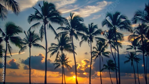 Silhouetted Palm Trees at Sunset Over a Calm Sea