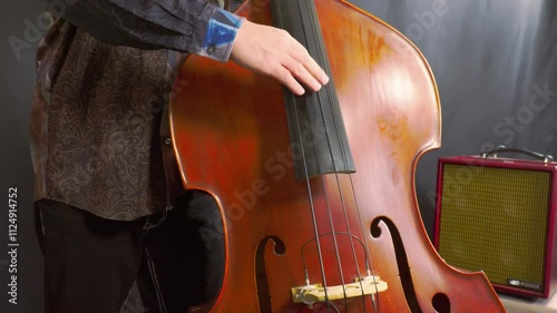 musician playing Wood bass, Contrabass, pizzicato