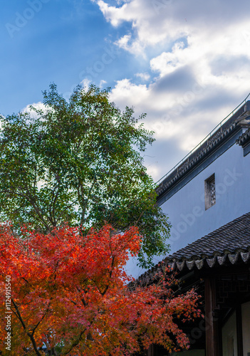 Ancient buildings against the backdrop of blue sky, green trees and red maples