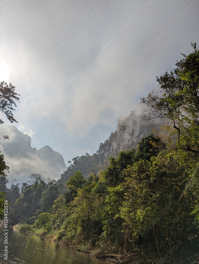 Cloudy forest ecosystem in Thailand Cloudy forest ecosystem in Thailand