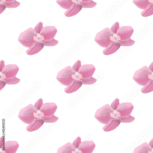 Wallpaper Mural Pink Orchid  Torontodigital.ca