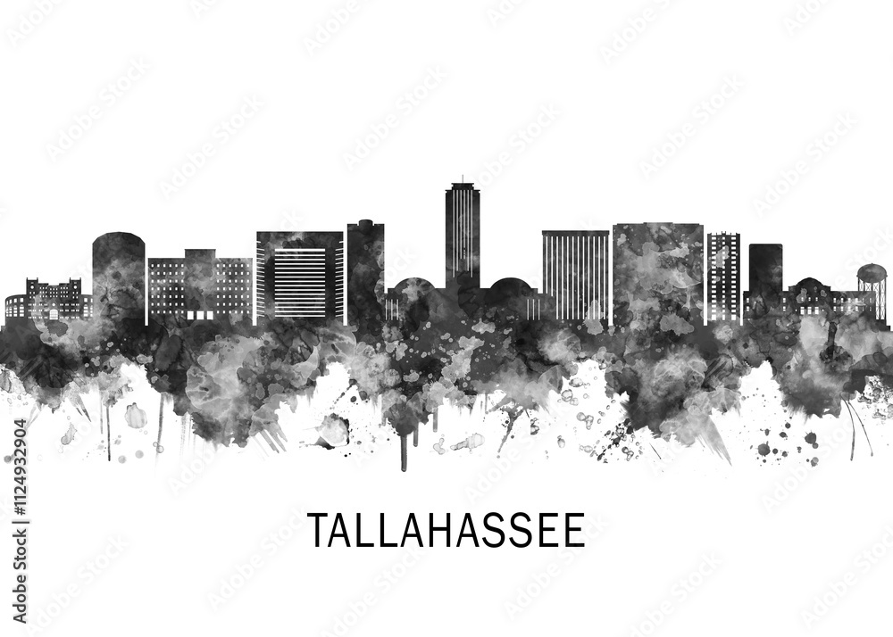 Tallahassee Florida Skyline BW, landscape watercolor abstract painting print poster Heilongjiang travel illustration urban art modern downtown landmarks