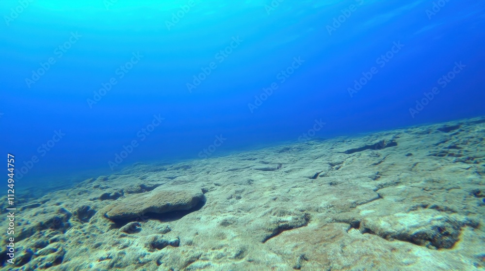 Fototapeta premium Underwater Scene of Rocky Ocean Floor with Sunlight and Clear Water