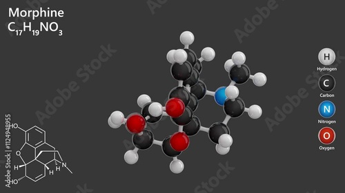 Morphium or Morphine. Drug. Animated 3D model of a molecule. Molecular formula: C17H19NO3. Chemical model: Ball and stick. Gray background. 3D rendering. Seamless loop photo