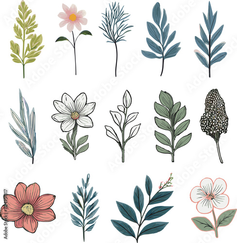 Wild flowers vector collection herbs 2