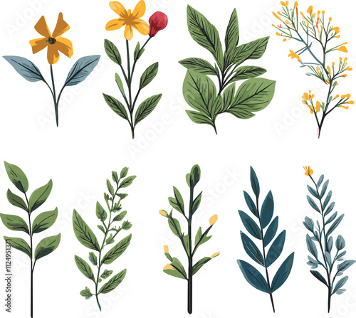 Wild flowers vector collection herbs 3
