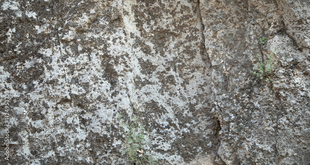 Stone background or texture. Outdoors stone Stone background or texture. Outdoors stone