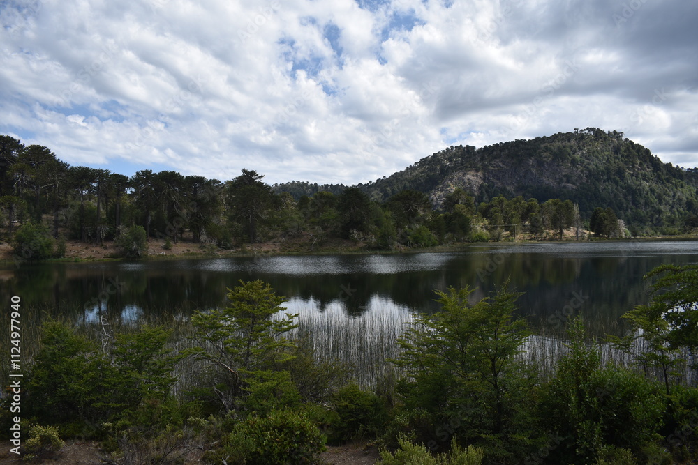 Obraz premium lago