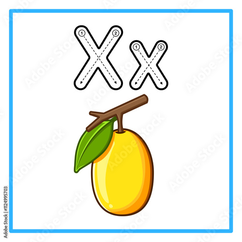 tracing alfabet fresh ximenia illustration