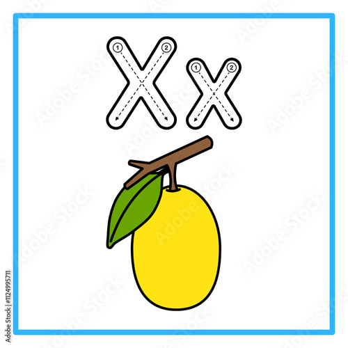 tracing alfabet flat ximenia illustration
