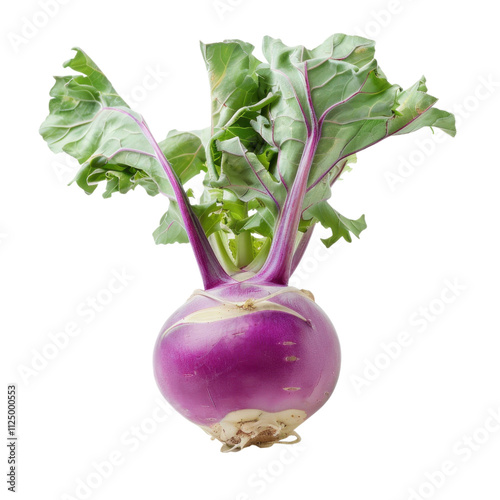 Vibrant Purple Kohlrabi: A Fresh and Healthy Vegetable photo