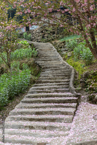 Rural road in Pengzhou, Sichuan, China