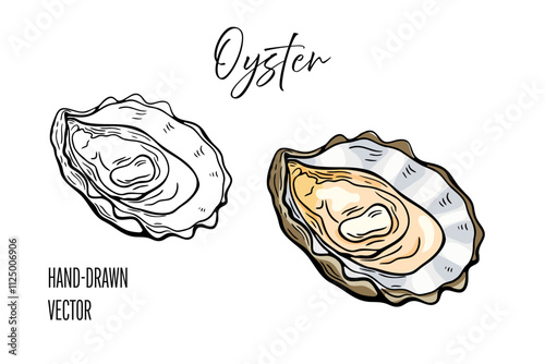 Seafood, oyster. Line drawing engraving vector, hand drawn food.