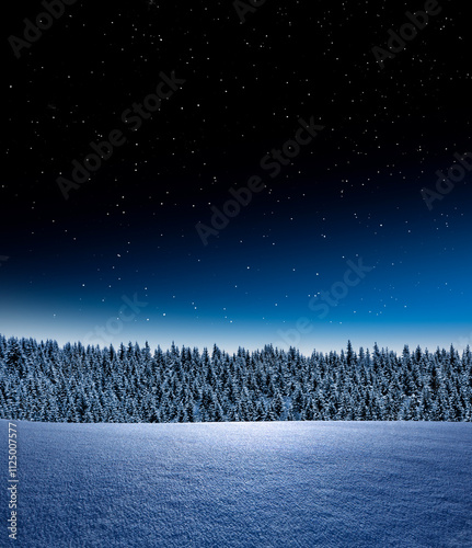 Winterliche Landschaft mit Tannenwald und Sternenhimmel