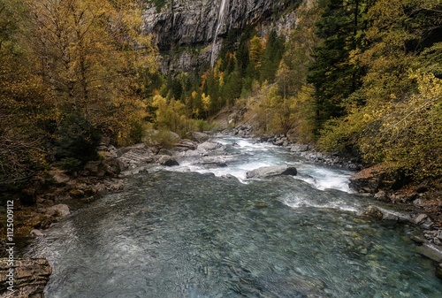 Ara River through the Bujariego Valley, in Ordesa. Spain photo