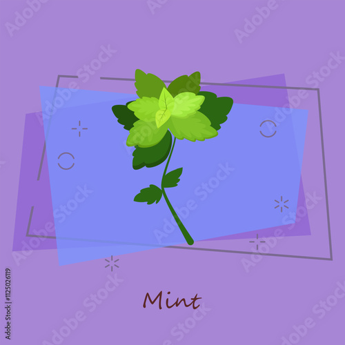 Fresh mint. Green sprig and leaves, peppermint, menthol. Cooking herbs concept. Vector illustration can be used for topics like organic food, herb tea, horticulture