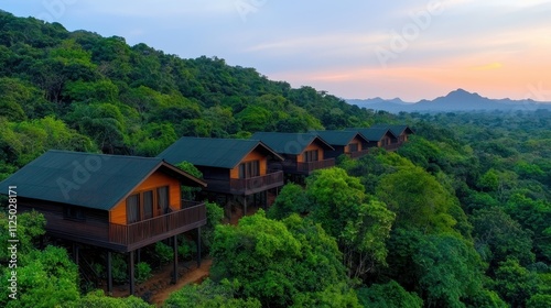 Scenic Eco-friendly Cabins Amid Lush Green Forest at Sunset in Mountain Landscape