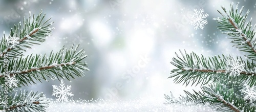 Snowy winter scene with frosted pine branches and snowflakes on a blurred background.