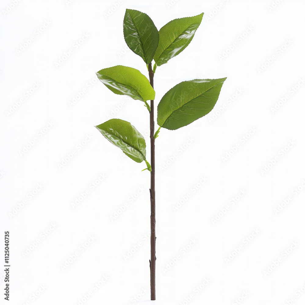 Lemon Branch Isolated Lemon Branch Isolated