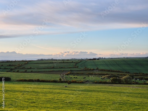 Wallpaper Mural Highland Agricultural Landscape with Trees and Mountains Under Cloudy Sky Torontodigital.ca