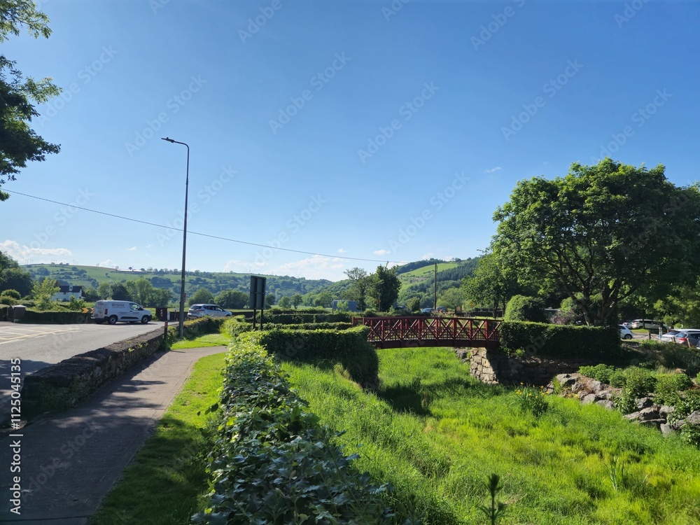 Natural Landscape with Tree, Grass, and Street Light by Asphalt Road Natural Landscape with Tree, Grass, and Street Light by Asphalt Road
