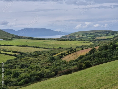 Mountainous Natural Landscape with Trees and Grass under Cloudy Sky