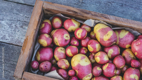 organic potato variety with original spotted skin close-up in a box selective focus