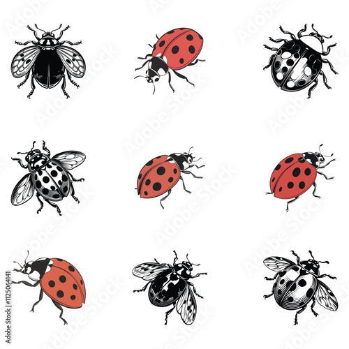 ladybug vector art and illustration