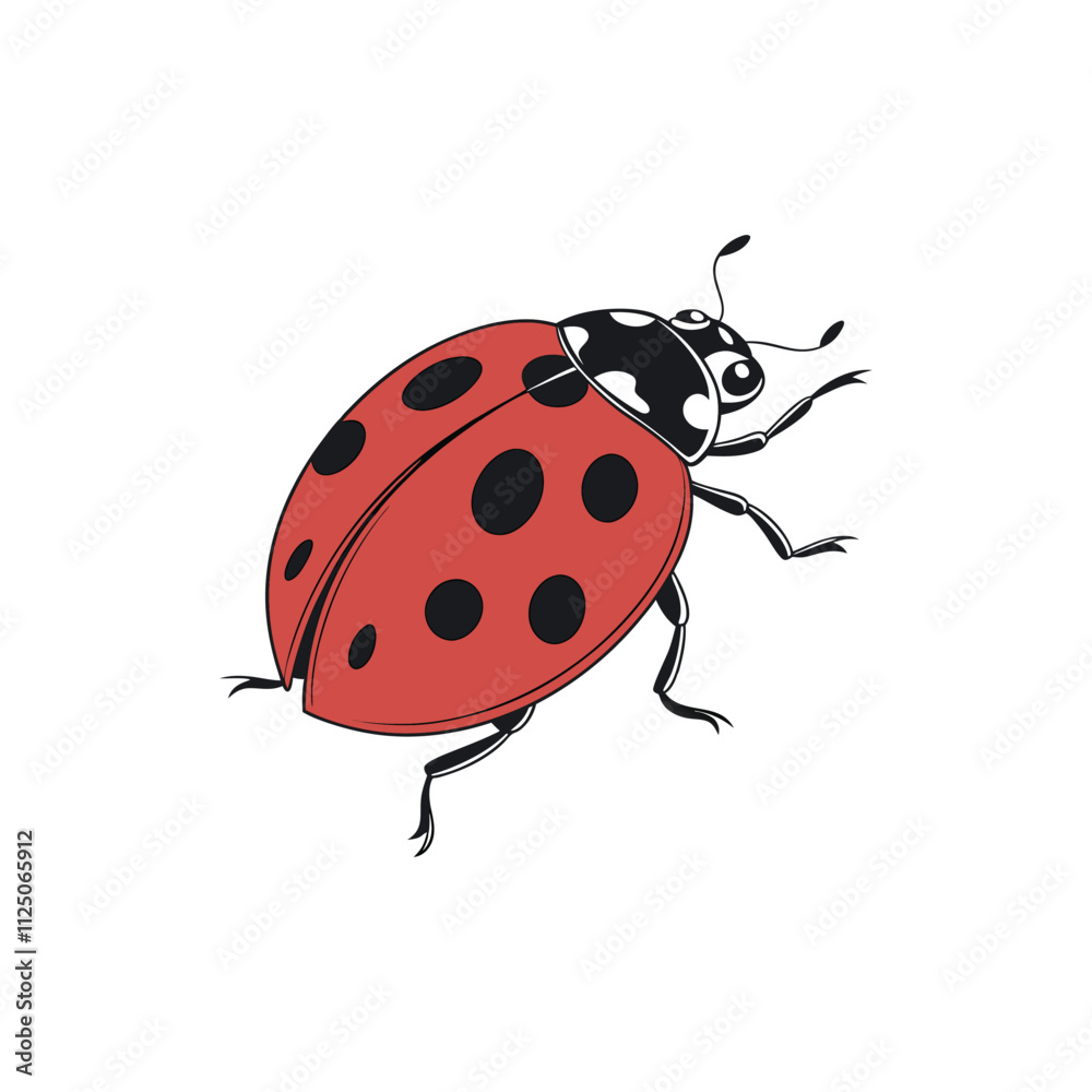 ladybug vector art and illustration ladybug vector art and illustration