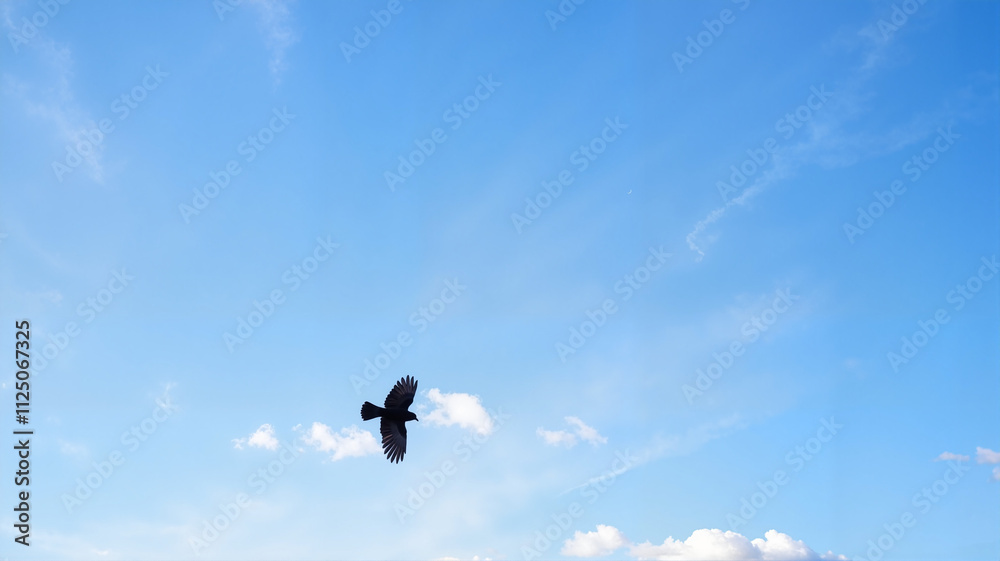 Black bird flying in a bright blue sky Black bird flying in a bright blue sky