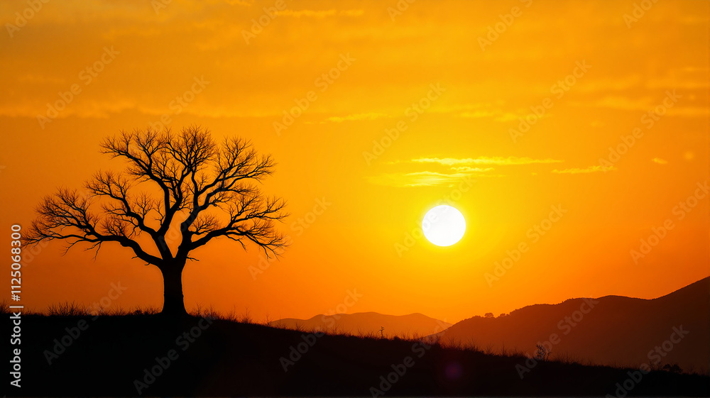 Fototapeta premium Silhouetted tree at sunrise with vibrant orange sky