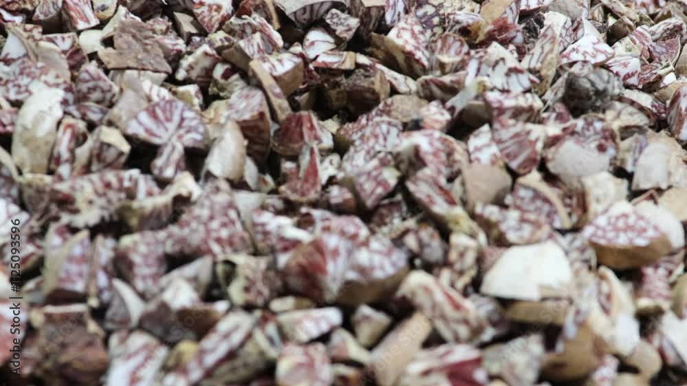 Slice piece of dried betel nut close up footage. Betel nut or Areca nut display for sale in shops.
Slice piece of dried betel nut close up footage. Betel nut or Areca nut display for sale in shops.