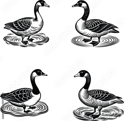  Goose With Water Ripples Silhouette Vector