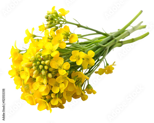 Sprig of fresh rapeseed isolated on white background.AI GENERATED