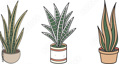 Houseplant in a pot set, isolated vector. 