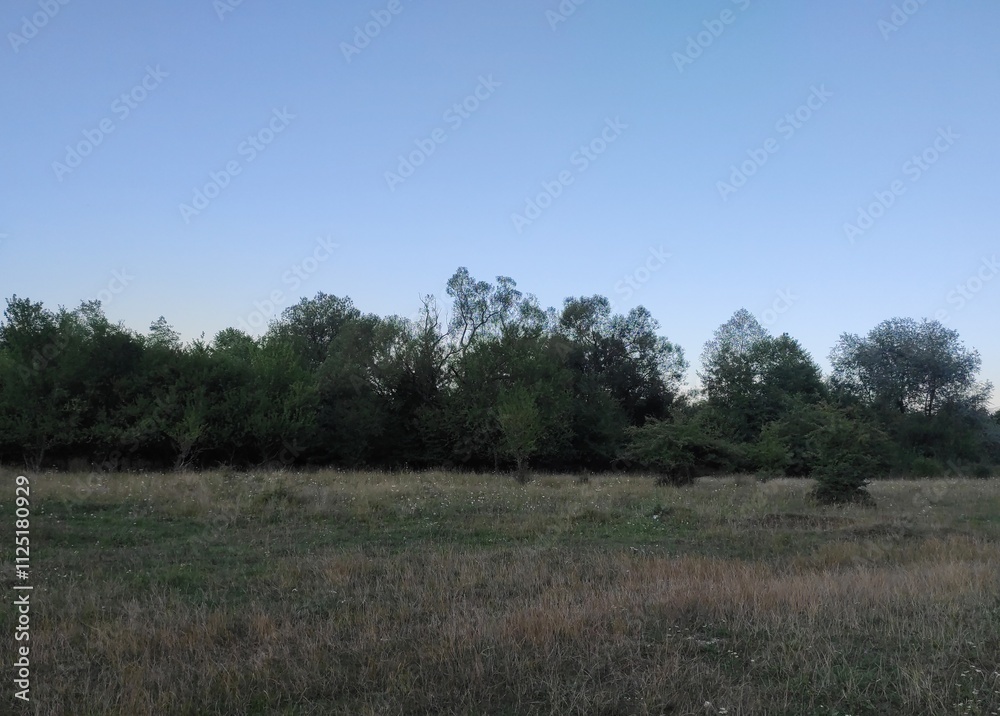 Nature photos. The eye of Ilidza and Ilidza, Sarajevo Nature photos. The eye of Ilidza and Ilidza, Sarajevo