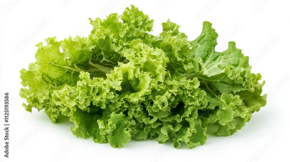 Fresh Green Lettuce Leaves - Perfect for Salads and Healthy Meals Fresh Green Lettuce Leaves - Perfect for Salads and Healthy Meals