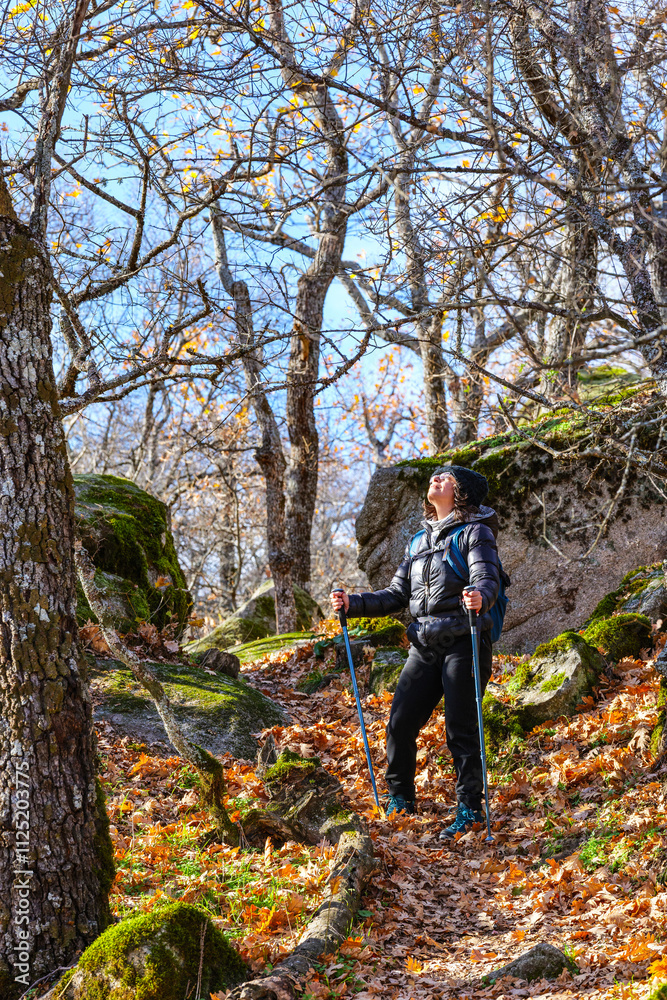 Naklejka premium A woman hiker trekking through La Herrería forest. San Lorenzo de El Escorial. Madrid, Spain.