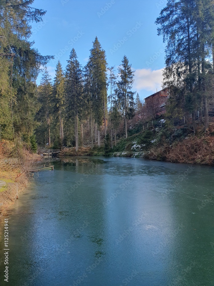 Beautiful lake in the Carpathian mountains, coniferous trees around the lake Beautiful lake in the Carpathian mountains, coniferous trees around the lake
