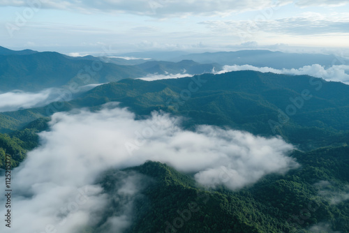 Aerial view of foggy wooded mountain range in the morning