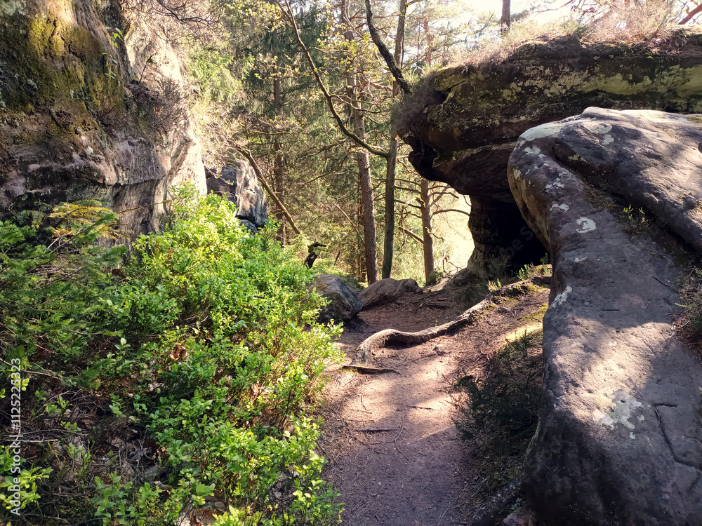 Schmaler Wanderweg durch Felsen im Pfälzerwald bei Pirmasens im deutschen Bundesland Rheinland-Pfalz. Aussicht vom Premium-Wanderweg Felsenwald Pirmasens. Schmaler Wanderweg durch Felsen im Pfälzerwald bei Pirmasens im deutschen Bundesland Rheinland-Pfalz. Aussicht vom Premium-Wanderweg Felsenwald Pirmasens.