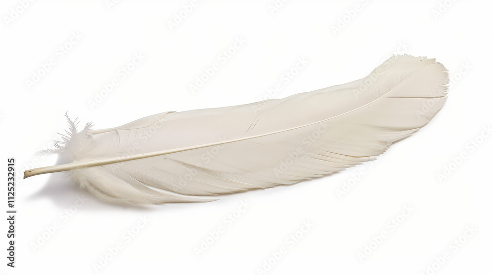 Obraz premium white feather isolated on white