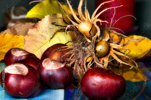 Chestnuts and hazelnuts in their shells with a colored background,